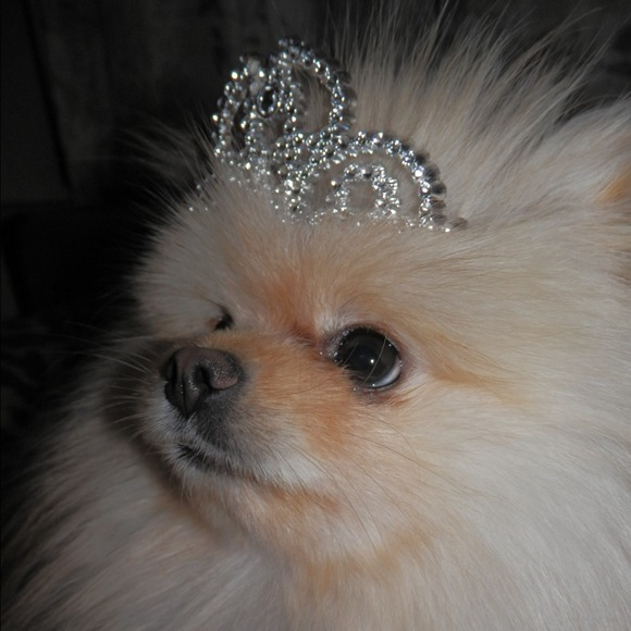 Shop my mums closet.. I need treats! - Picture 2 of 3