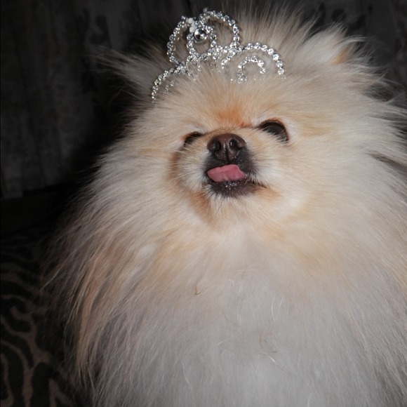 Shop my mums closet.. I need treats! - Picture 3 of 3