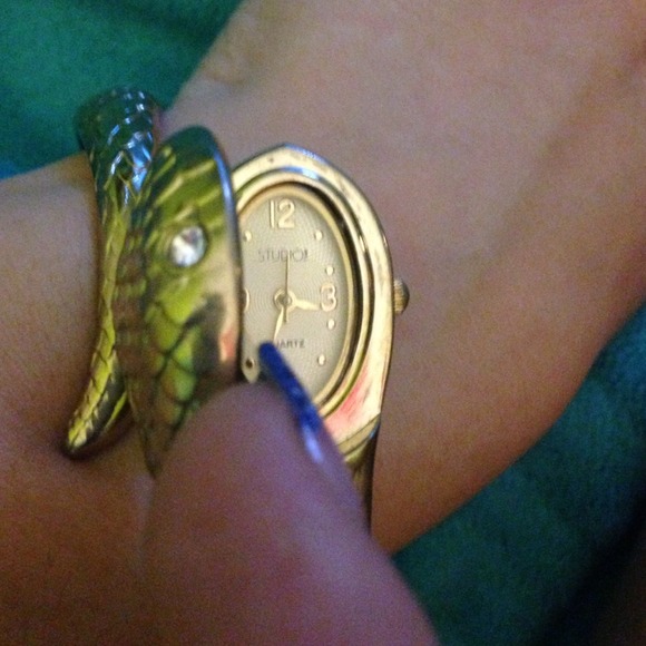 Snake watch! - Picture 2 of 2
