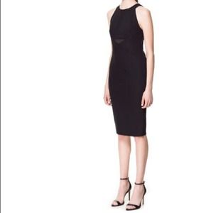 Zara - Black dress (New)