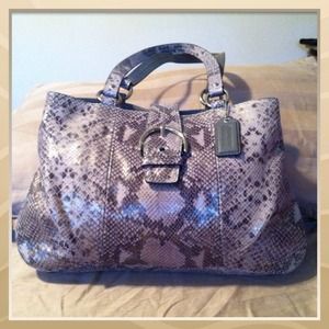 Coach Snake Skin