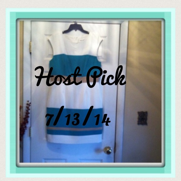 🎉HP 7/13/14🎉 Simple elegant color blocked dress