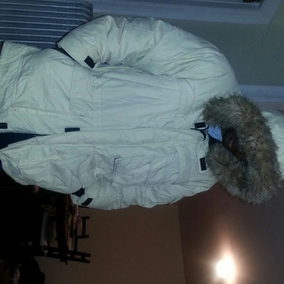 Cold winter