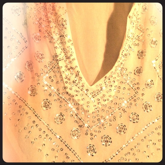 Silk sparkle sheer tunic. 100% silk, made in India