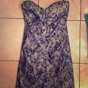 Silver Dress With Black Lace