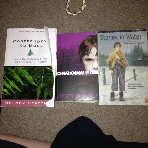 3 books - stones in water - homecoming - etc