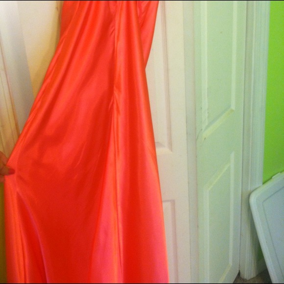 Gorgeous gown - Picture 3 of 4