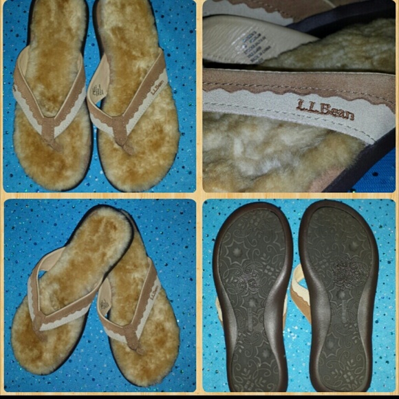 L.L. BEAN