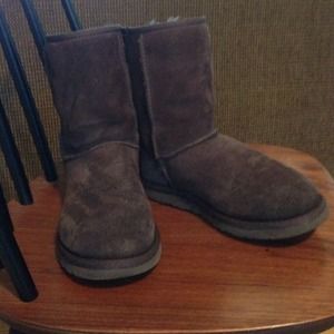 Chocolate Brown Short Uggs