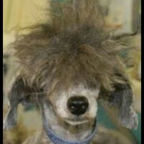 🐾Wallets🐾Wristlets🐾Handbag