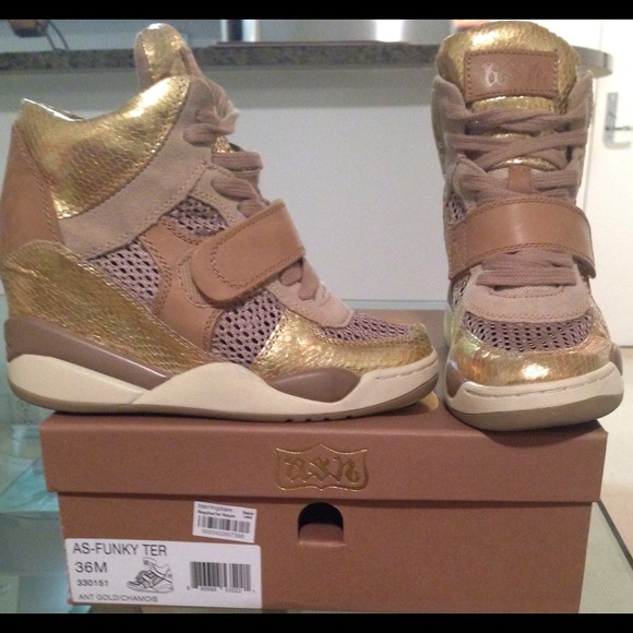 ASH -High top Wedge Sneakers- Funky