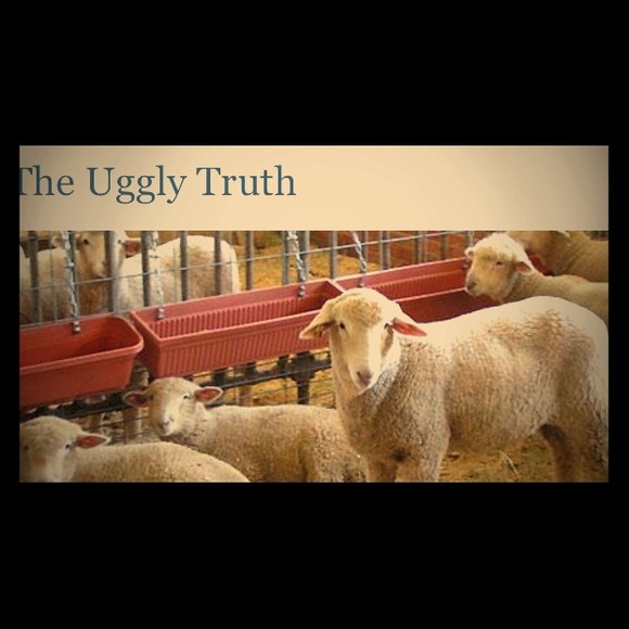 The truth about UGGs