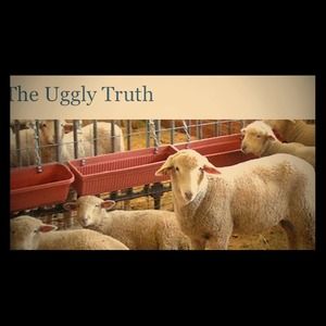 The truth about UGGs