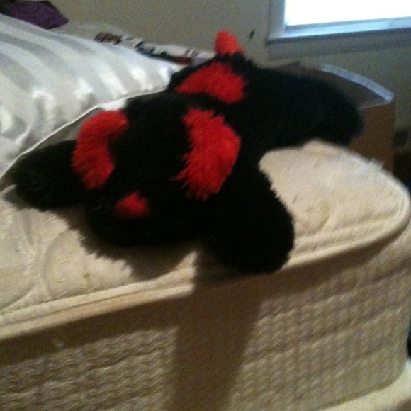 Valentines day doggy stuff animals