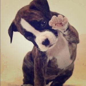 Check Out My Closet!!