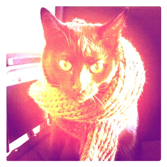 Homemade Scarves COMING SOON~