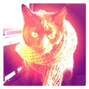 Homemade Scarves COMING SOON~