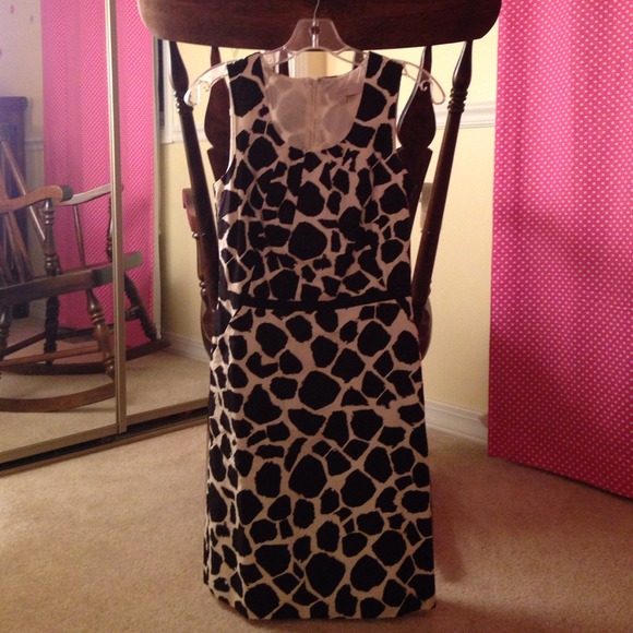 ¥ SOLD ¥Ann Taylor Loft Dress - Picture 1 of 3