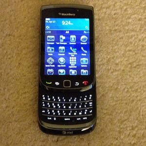 Blackberry Torch