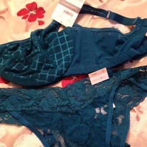 Plus size bra and panties from fashion bug