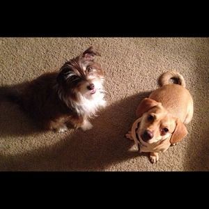 Bundle for Kris 😘