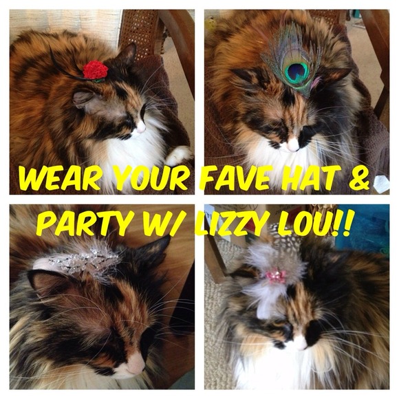 Thanks so much for letting me host 11/29!! - Picture 2 of 4