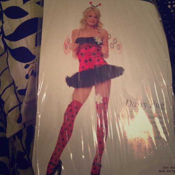 Lady bug Halloween costume