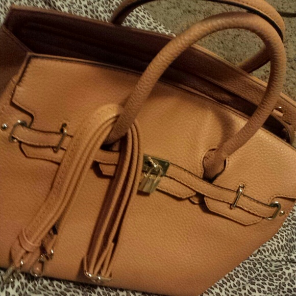Coral hand bag (just fab)