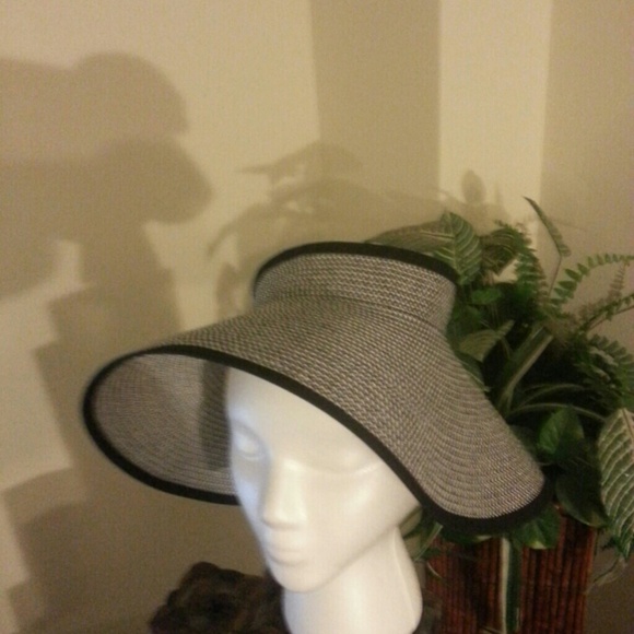 Visor - Picture 1 of 1