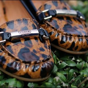 Coach Shoes - โก๏ธSaleโก๏ธ Brand new Coach leopard print flats Coach Shoes - โก๏ธSaleโก๏ธ Brand new Coach leopard print flats