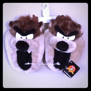 🎁 TAZ Slippers