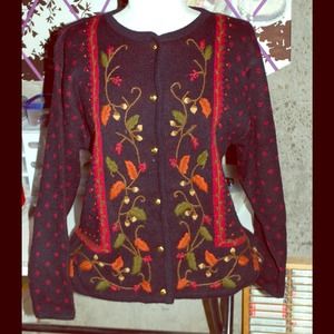 Price Reduced! Gorgeous sweater!