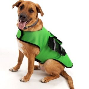 Sports Vest Medium Vest
