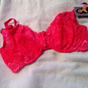 Pink Bra, 38D