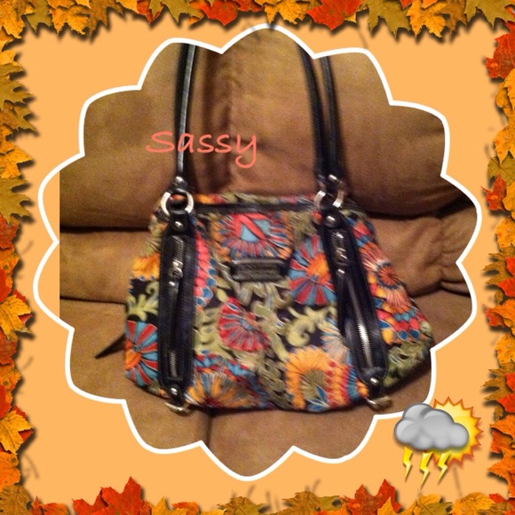 🌾🌾Sassy Pocketbook 🌾🌾