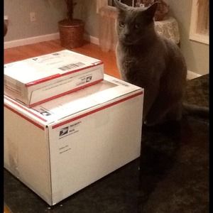 Grayson is guarding the Posh packages!