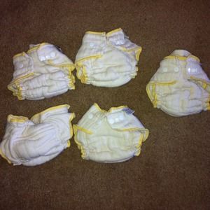 Cloth-eez workhorse fitted 2 small, 5 NB bundle