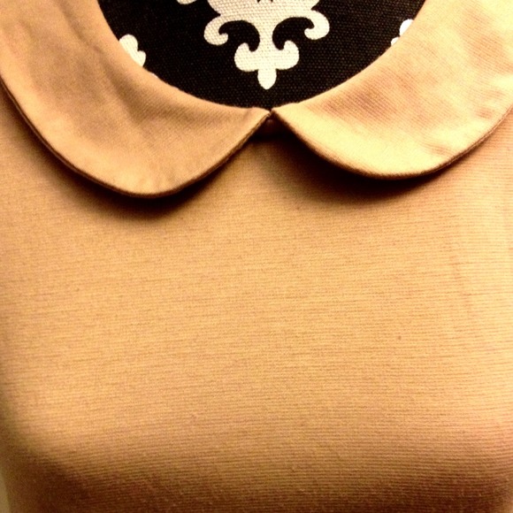 SOLD 🎉Host Pick 🎉Peter Pan Collar peplum top - Picture 2 of 4