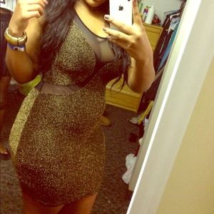 Bodycon mesh and gold dress