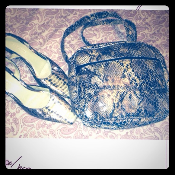 Bundle snake skin handbag and shoe