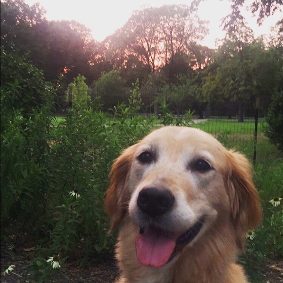 About Me :) - Picture 4 of 8