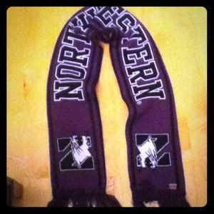 Northwestern scarf