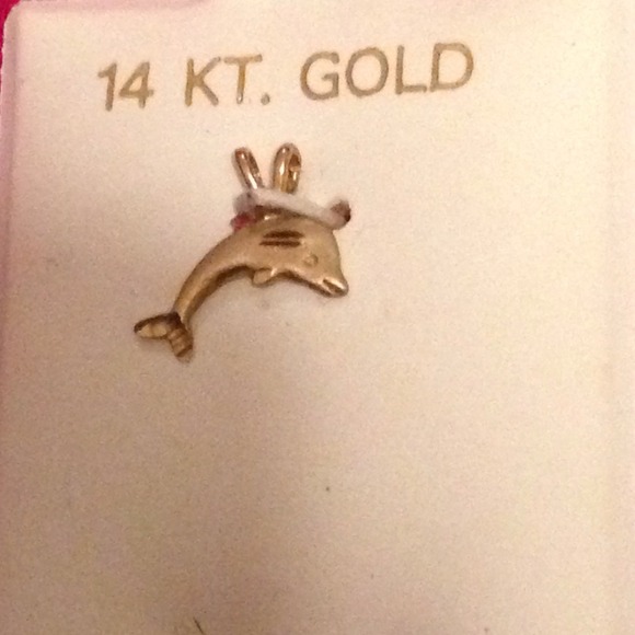 Dolphin charm - Picture 2 of 2