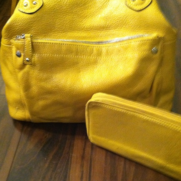 Tignanello hand bag with wallet. Price cut!