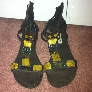 American eagle gladiators