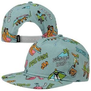 Flash spring sale!!! Vans casual Friday SnapBack