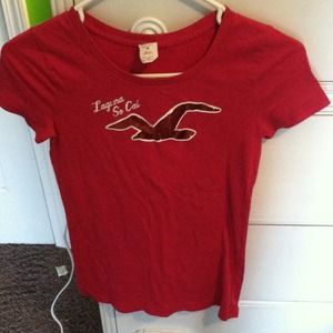 pink hollister shirt