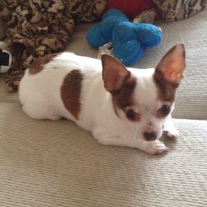 Help my mommy buy me Christmas presents!!