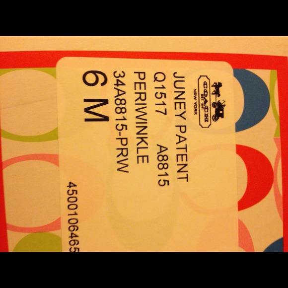 🌟 BRAND-NEW FLIP-FLOP PERIWINKLE BY COACH🌟🌟 - Picture 4 of 4