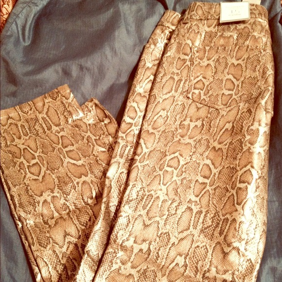 Chico's print pants 💋